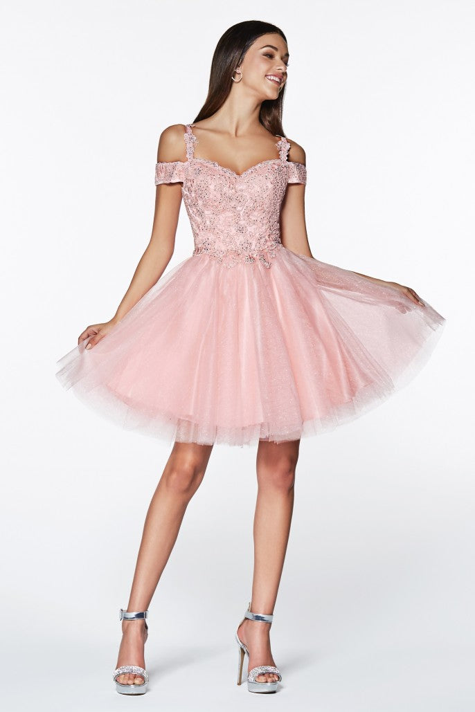Short Dress